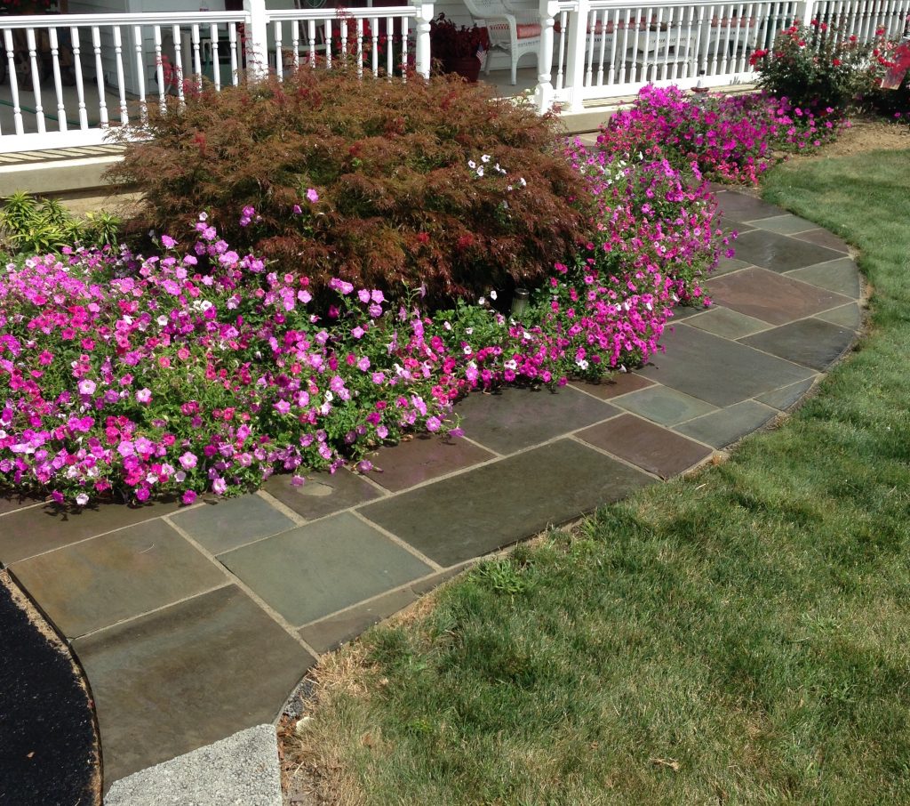 Natural Stone Walkway