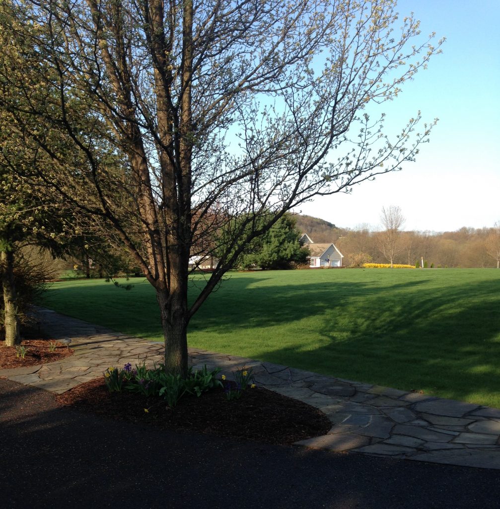 Quartzite Walkway